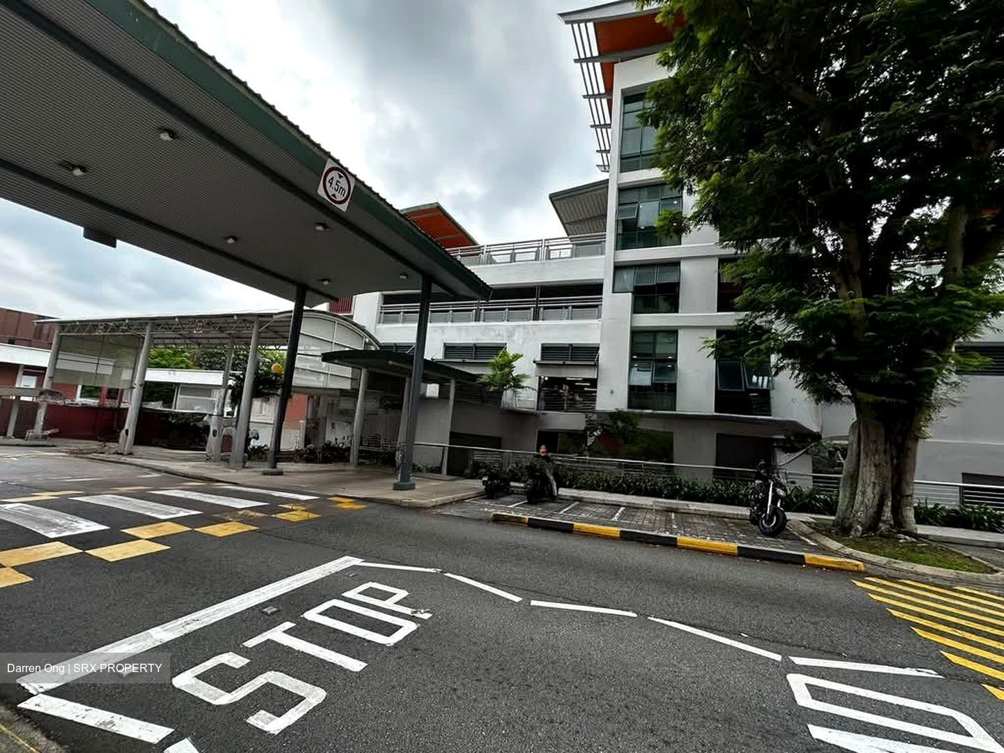 Blk 313 Shunfu Gardens (Bishan), HDB 4 Rooms #580778561